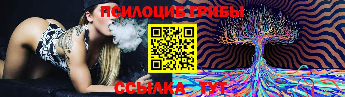 Галлюциногенные грибы GOLDEN TEACHER Кузнецк