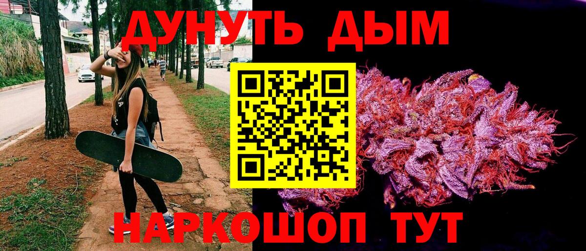 Кузнецк  Бошки Шишки план  Каннабис ГИДРОПОН  Бошки Шишки тримм  Вход с VPN 